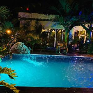 The swimming pool at or close to Hostal Hilltop Salento