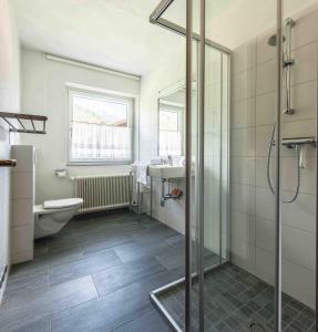 シュラートミンクにあるAppartements Wurzer by Schladming-Appartementsのバスルーム(シャワー、洗面台、トイレ付)