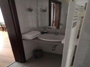 ein Bad mit einem Waschbecken und einem Spiegel in der Unterkunft Hanfthal-Hof in Laa an der Thaya