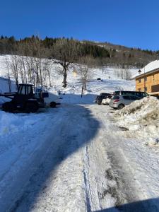 Chalet Lucie LE CHEVAL NOIR v zimě