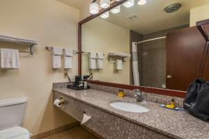 Koupelna v ubytování Best Western Plus Shamrock Inn & Suites