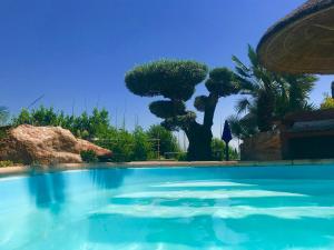 波尔托罗Apartments Villa BEAUTY PORTOROŽ的一座绿树成荫的蓝色游泳池