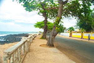 dos árboles a un lado de una carretera cerca del océano en Sky Nautico Apartment, en São Tomé