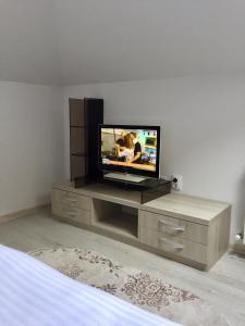 a living room with a tv on a stand at Simona Apartament Palas Mall in Iaşi