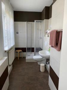 a bathroom with a shower and a toilet and a sink at Pension No. 55 in Erfurt