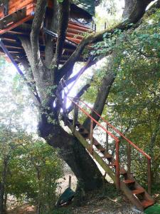 Imagen de la galería de B&B La Cabane Insolite, en Monès