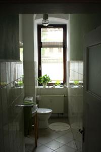 a bathroom with a toilet and a window at Gemütliche Ferienwohnung in Görlitz in Görlitz