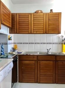 Gil Eanes Ocean View Nautical Apartment tesisinde mutfak veya mini mutfak