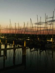 a group of boats parked in a marina at sunset at Seehütte Neusiedlersee - Urlaub am Wasser in Rust