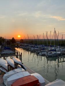 a group of boats docked in a marina at sunset at Seehütte Neusiedlersee - Urlaub am Wasser in Rust
