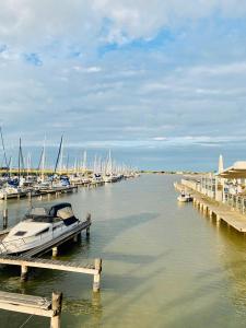 a boat docked at a marina with many boats at Seehütte Neusiedlersee - Urlaub am Wasser in Rust