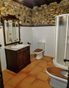 a bathroom with a toilet and a sink and a mirror at Casa Rosario in Cortina