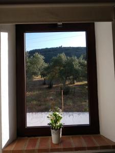 Casa Rural Ventanas a la Sierra في إيغيرا دي لا سييرا: نافذة مع نبات الفخار في الغرفة