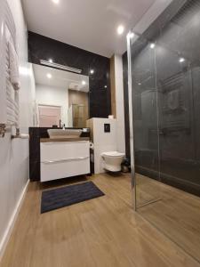 ein Bad mit einer Dusche, einem Waschbecken und einem WC in der Unterkunft APART LuX BRISTOL in Bytom