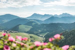 vista su una valle con montagne e fiori rosa di La Majun Fornellahof ad Antermoia