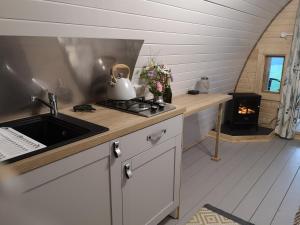 a kitchen with a sink and a stove in a room at Tan-y-Dderwen Pod in Machynlleth