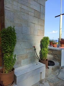 Κήπος έξω από το Μπαλκόνι του Αιγαίου father's house in Kimi