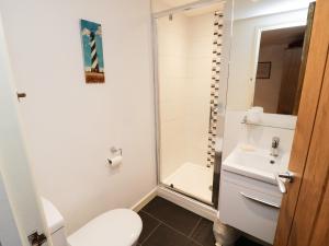 a bathroom with a toilet and a sink at Crosscombe Barn in Kingsbridge +18 photos