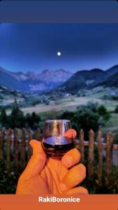 een hand met een glas wijn voor een hek bij Guesthouse Alpini in Lëpushë