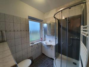 un bagno con doccia, WC e lavandino di Pension Gästehaus Elfriede Baltrum a Baltrum Altre 29 foto