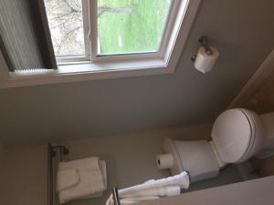 a bathroom with a toilet and a window at Reel Simple Bolton Lake Cottage in Bolton
