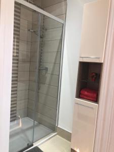 a glass shower in a bathroom with a red towel at Clanrye House Guest Accommodation in Newry