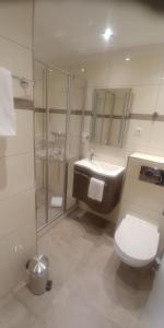 Un baño con inodoro, lavabo y ducha. en Appartement Ausblick Park, en Hahnenklee-Bockswiese