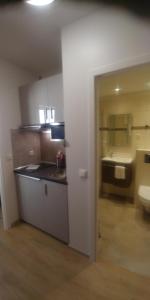 a kitchen with a sink and a toilet in a room at Appartement Ausblick Park in Hahnenklee-Bockswiese