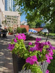 O grădină în afara Апартаменти двохкімнатні в клубном будинку Villa Irina