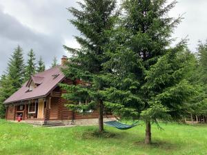 eine Blockhütte mit einer Hängematte vor einem Baum in der Unterkunft Котедж Гута in Guta