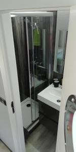 a bathroom with a shower and a toilet and a sink at Hausboot auf der Mosel in Pölich +17 photos