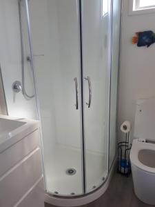 a bathroom with a shower and a toilet at Te Puru Holiday Park in Thames