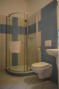 a bathroom with a toilet and a shower stall at Hotel Praha Potštejn in Potštejn