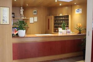 a bar with potted plants on top of it at Albergo Nazionale in Biasca