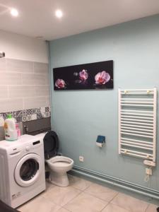 uma casa de banho com uma máquina de lavar roupa e um WC em Appartement 2 personnes Le Bugue Périgord Noir em Le Bugue
