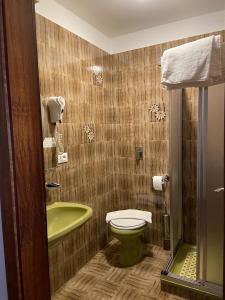 baño con aseo verde y lavamanos en Hotel Panorama, en Cavalese