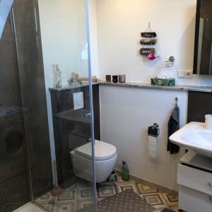 a bathroom with a shower and a toilet and a sink at Ferienwohnung Am Haineberg in Porta Westfalica