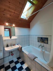 a bathroom with a bath tub and a sink at Alte Hammerschmiede in Sankt Aegidi