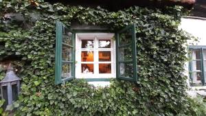 Fotografia z galérie ubytovania Auszeit im Grünen v destinácii Sankt Aegidi