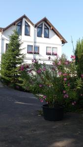 Zahrada ubytování Hotel Janssen