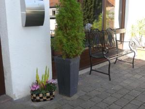 Zahrada ubytování Hotel Janssen