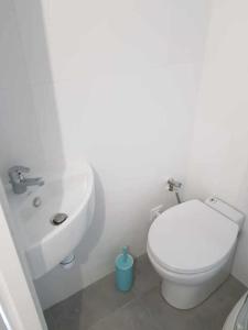 La salle de bains est pourvue de toilettes blanches et d'un lavabo. dans l'établissement La Fauconnerie Studio de charme au cœur d'Orléans, à Orléans