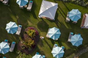 A garden outside Kempinski Hotel Bahía Beach Resort & Spa