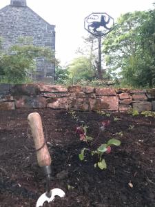 a garden with a pipe in the ground next to a stone wall at Black Lion Inn in Leek