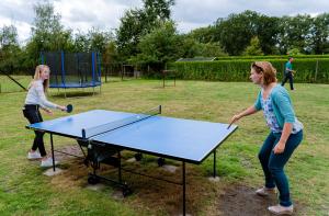 Stolní tenis v ubytování de Berkelstee nebo okolí