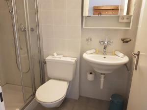 bagno con servizi igienici e lavandino di Spenglers Inn a Davos