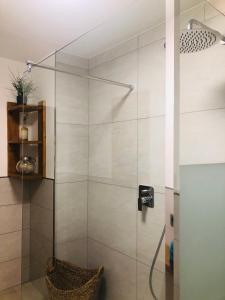 a shower with a glass door in a bathroom at Idyllische Ferienwohnungen in Mossendorf in Burglengenfeld +48 photos