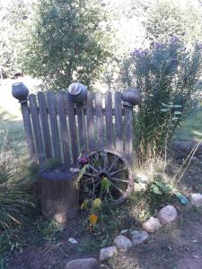 a wooden bench with a wheel on a stump at Uroczysko Ruczaj in Czarna Białostocka