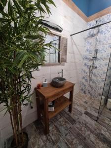 y baño con lavabo en una mesa con ducha. en Apartament Starówka 6 en Toruń