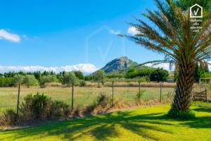 Fotografia z galérie ubytovania Finca ALBUFERETA Alcudia v Alcudii